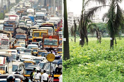 Believe it or not! Mumbai has more cars than trees