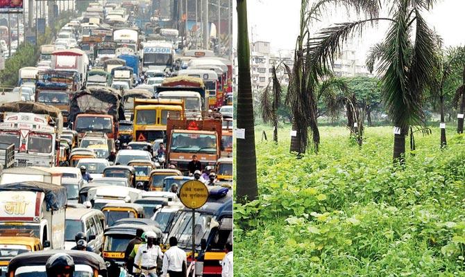 Six lakh new vehicles were registered in Mumbai between April 1, 2016, and March 31, 2017. Representational Image