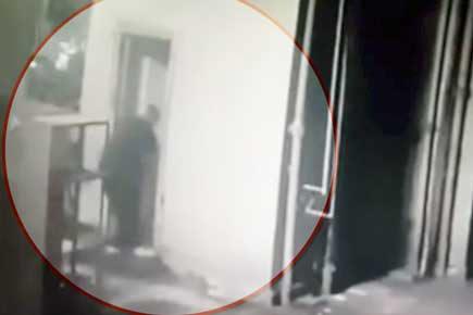 Watch video: Man traps dog in washroom seemingly for sexual abuse