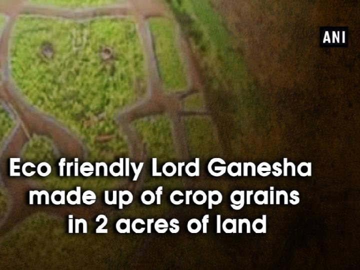 Eco friendly Lord Ganesha made up of crop grains in 2 acres of land