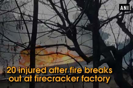 Inferno at firecracker factory claims 8 lives