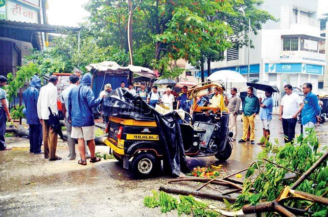 A tree fell on an autorickshaw early this morning, injuring the driver, Chandrakant Madhavi, and completely destroying the vehicle. Pic/Shrikant Khuperkar