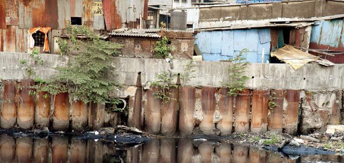 Raw sewage is discharged into Mithi river from the slums at BKC. Pic/Nimesh Dave