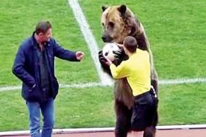 Russian football league trolled as bear made to present match ball