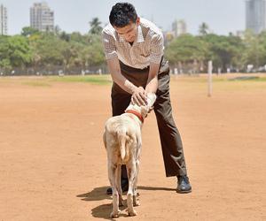 Look through the eyes of Mumbai's strays in a storybook dedicated to them