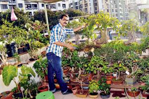 Crime branch constable builds nursery with 600 varieties of trees and plants