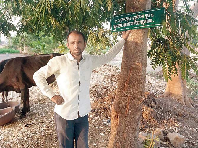 Ganesh Bhujbal had planted this tree to mark the birth of his daughter