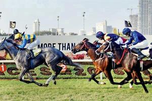All eyes on Pesi Shroff as he closes in on his 1000th win