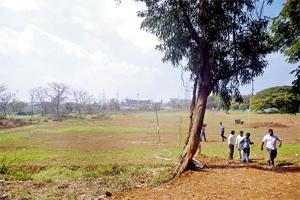 Mumbai: State fails to protect Aarey, opens salt pan land for development