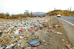 Carcass of dead animals on Mumbai-Nashik highway raises a stink