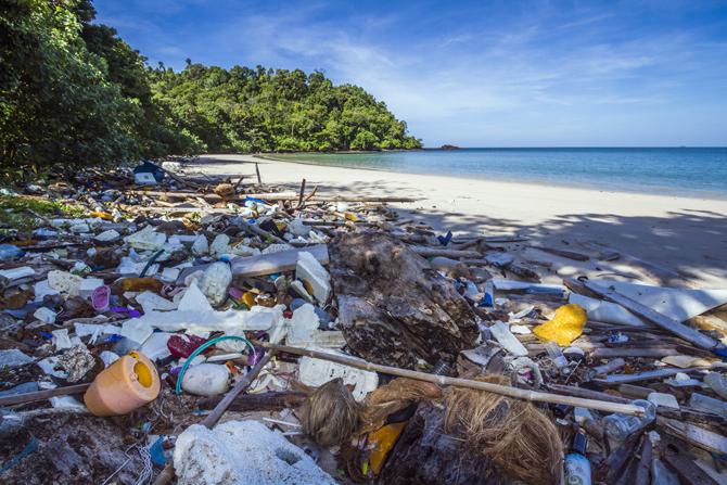 Plastic Ban