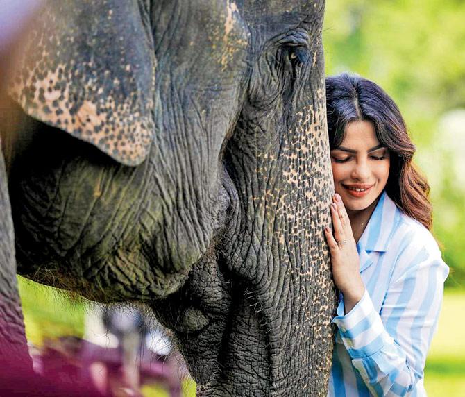 Priyanka Chopra in Jorhat