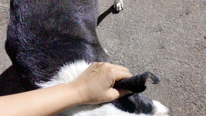 TMC makes smaller incisions on the ear