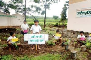 Sunshine story: How Khed village solved drought, poverty by planting trees