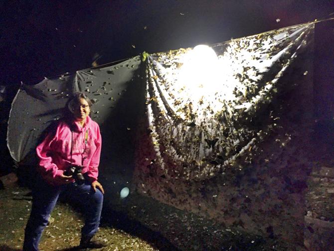 Dr Vaylure camps in Bhutan with a light sheet to lure moths as part of research for the field guide