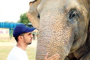 Sidharth Malhotra keen to promote awareness about the plight of elephants