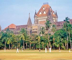 Bombay High Court reduces man's sentence for drug possession from 10 to 2 years