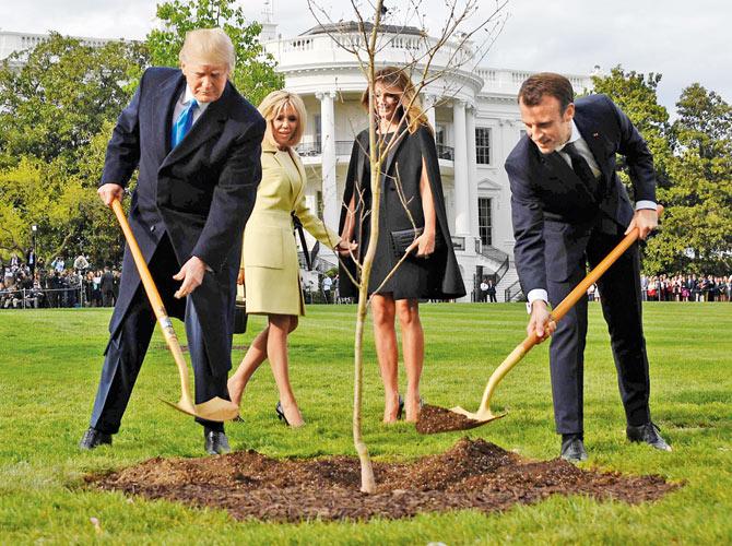 US President Donald Trump and French President Emmanuel Macron plant a tree warched by Trump