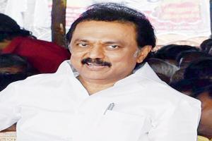 DMK President M K Stalin: Will not be cowed down by any flutter
