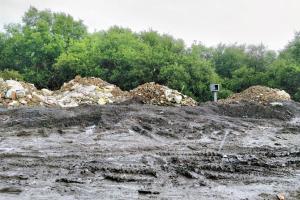 Mumbai: CMO steps in to save mangroves near Sion-Panvel highway
