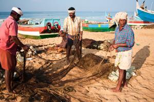 Country lost one-third of its coastline from erosion, says government report