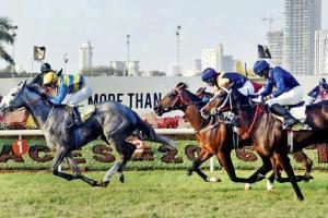 Horse racing: Cambridge favourite for Nirmal Ruia Trophy