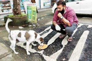 A pawsitively good idea! After poor kids, Roti Ghar now feeds stray dogs
