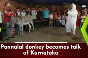 Fortune-teller donkey Pannalal becomes talk of the town!