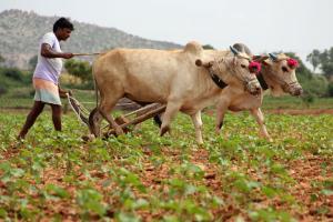 26 Jharkhand farmers leave for Israel to study farming techniques