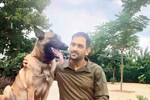 MS Dhoni spends priceless moments with his dogs