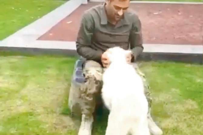 MS Dhoni with his dog