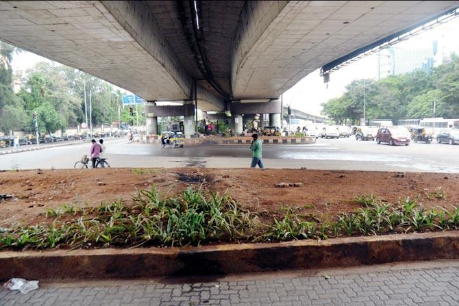The Kalanagar flyover has the most space available - around 8,000 square metres - all of which will be turned into a garden. Pic/Datta Kumbhar