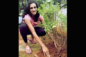 PV Sindhu takes the green challenge, plants three saplings