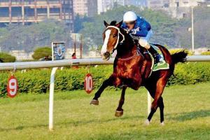 Horse racing: B Fifty Two, Whomakestherules likely to clash for title