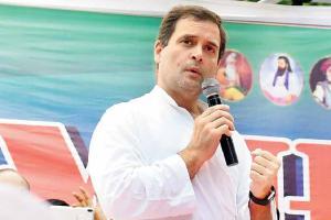 Rahul Gandhi slams government over 'rising' atrocities against Dalits