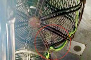 Mumbai: Snake scares his(s) fellow passengers in Central Railway train
