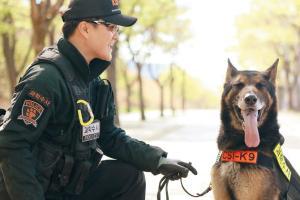 South Korea to honour dog killed in the line of duty by snake