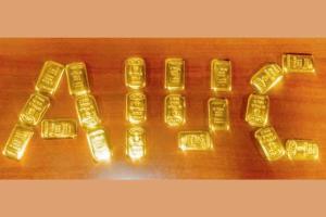 Mumbai Crime: Air Intelligence Unit catches 2 fliers with $33K, 20 gold bars