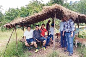 This Independence day, take a break from toxic and go organic