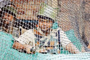 Rumours about Article 35-A lead to clashes in Kashmir; 12 injured