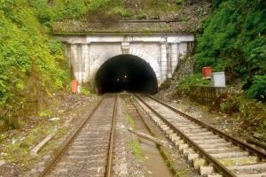 Mumbai: Forest department turns to satellite images to save Parsik Tunnel