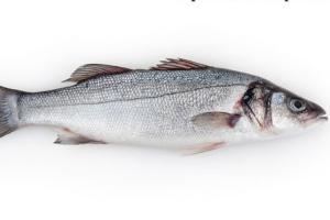 Goa to lift fish import ban