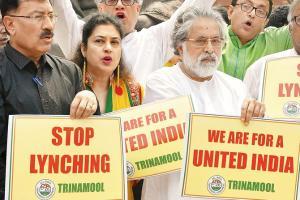 Maharashtra government appoints SPs, DCPs to keep a check on mob violence