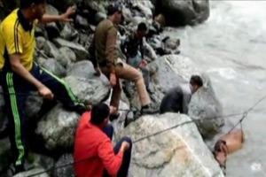Dramatic act! Rescuers brave Yamuna river water to save horse