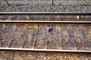 Mumbai: Elderly couple commits suicide by jumping before train