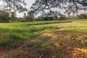 Who has fenced off 33-acre parcel in Aarey greens?