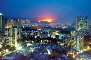 Mumbai: Forest dept all set to prevent fires at SGNP on New Year's Eve