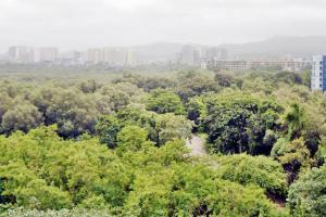BMC goes the Bigg Boss way to watch over Mumbai's mangroves