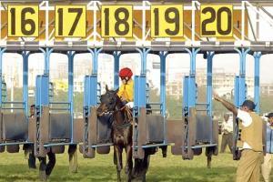 No relief for arrested bookies
