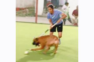 Cricketer Jemimah plays with her 'good boy' Theo